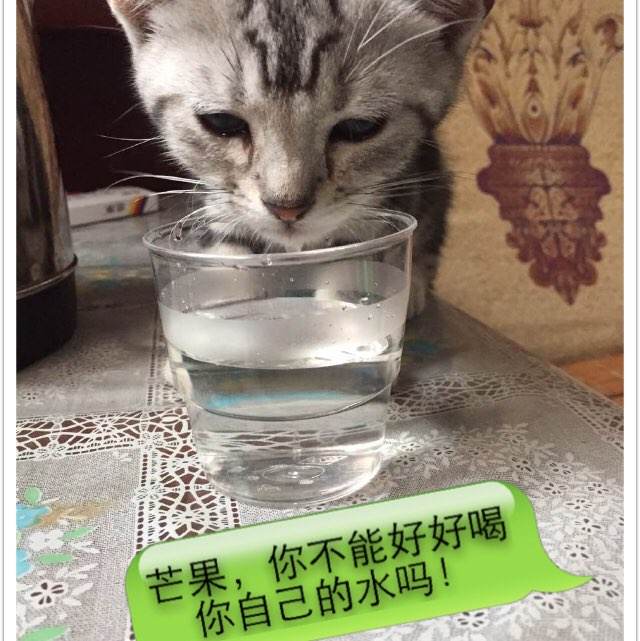 哪里可以制作克莱姆森大学文凭毕业证